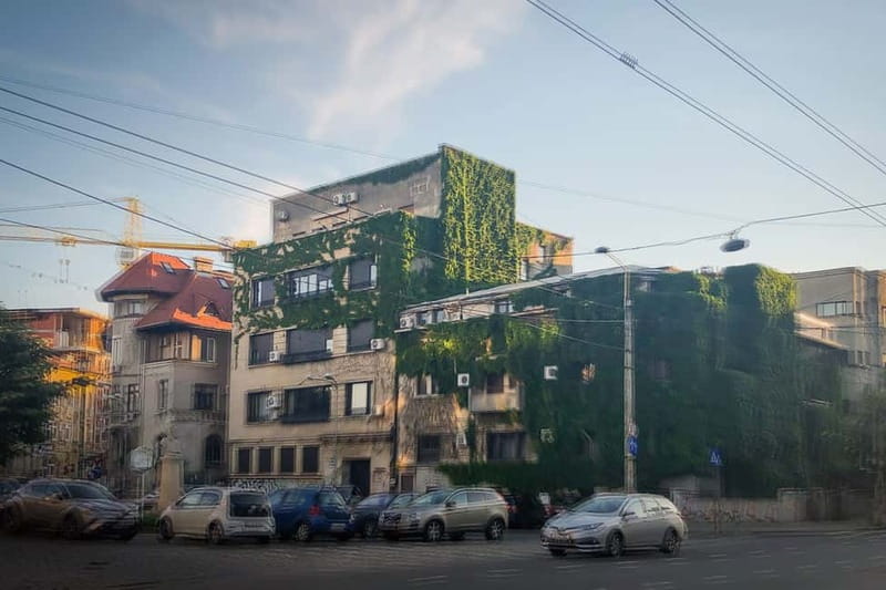 Bucharest: Craft Beer Tour with Traditional Meal - Beer Tastings That Actually Teach Your Palate (Not Just Pour Beer)
