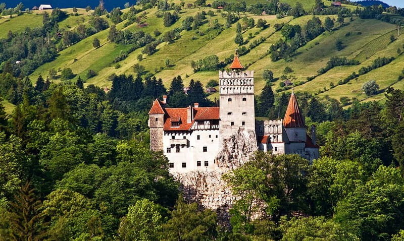 Bucharest: Day Trip to Bear Sanctuary, Bran Castle & Brasov - From Bucharest to the Carpathians in one long day