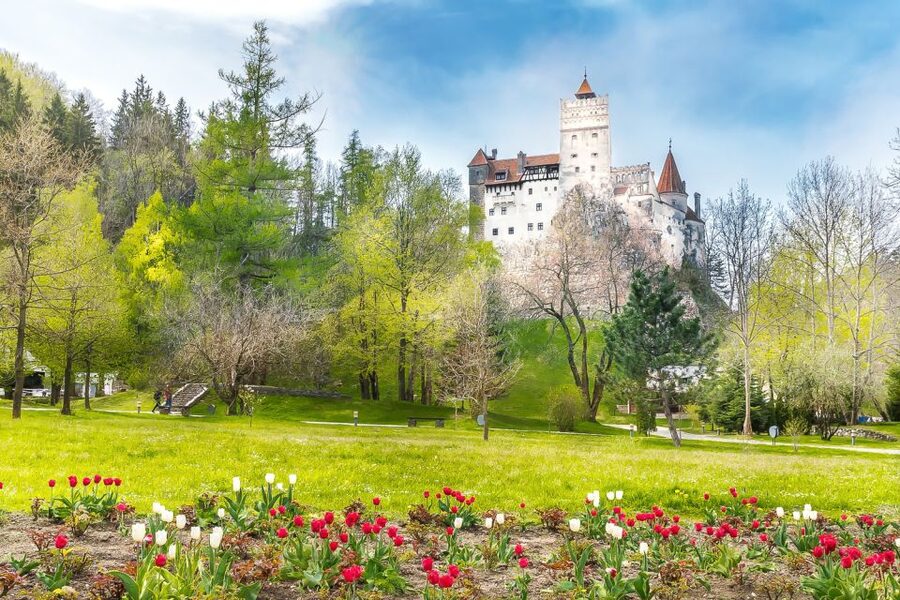 Bucharest: Day Trip to Dracula Castle, Peles Castle & Brașov - Comfort, crowding, and what the best guides actually do