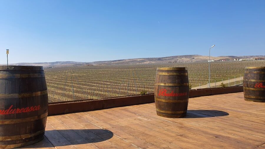 Bucharest: Dealu Mare Winery Private Trip with Wine Tasting - Key highlights worth your attention