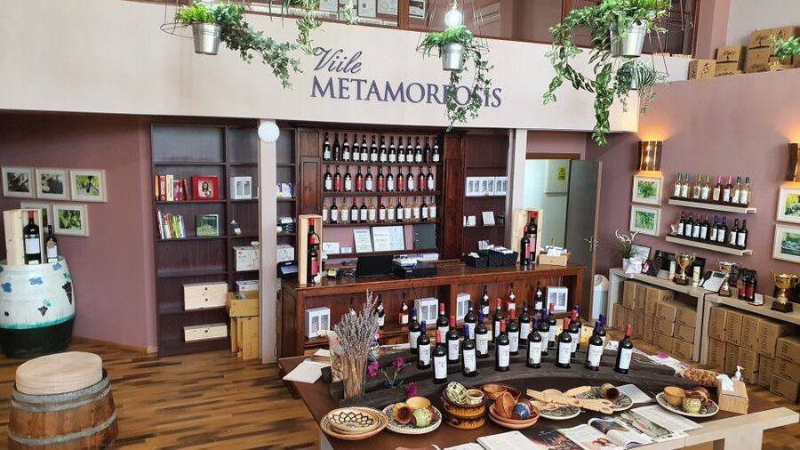 Bucharest: Dealu Mare Winery Private Trip with Wine Tasting - Stop Two: Second Winemaker, Second Set of Lessons