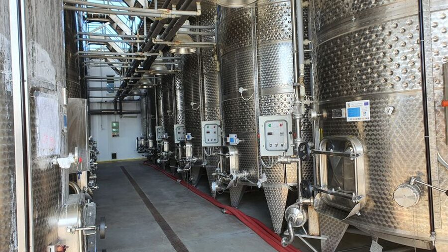 Bucharest: Dealu Mare Winery Private Trip with Wine Tasting - What You’ll Learn on the Vineyard Tours