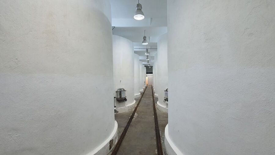 Bucharest: Dealu Mare Winery Private Trip with Wine Tasting - The Guide Experience: When It Turns Into More Than Wine