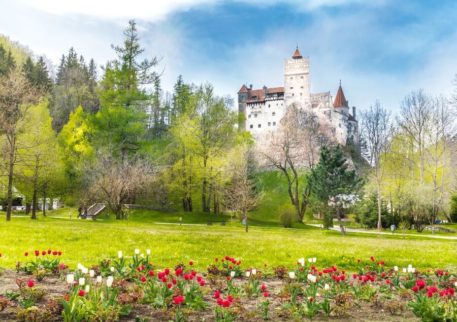 Bucharest: Dracula Castle, Peles Castle & Brasov Guided Tour - The ride segments: comfort, breaks, and what to bring