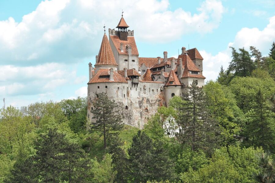 Bucharest: Dracula's Castle, Peles Castle, & Brasov Old Town - Who should book this trip, and who should skip it
