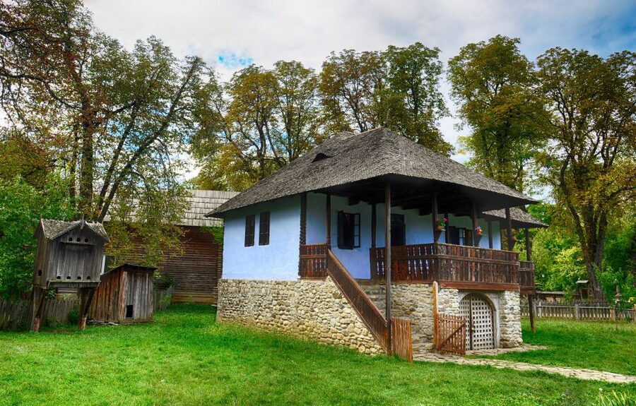 Bucharest: Half-Day Sightseeing Tour - Muzeul Satului (Village Museum): Romanian countryside in open air
