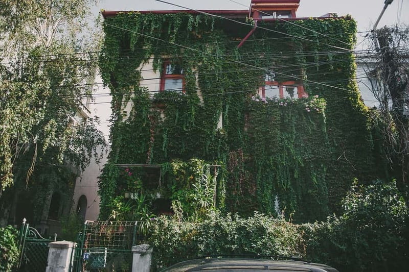Bucharest: Hidden Gems 2.5-Hour Walking Tour - Covrig Break, a Street Snack With a Story