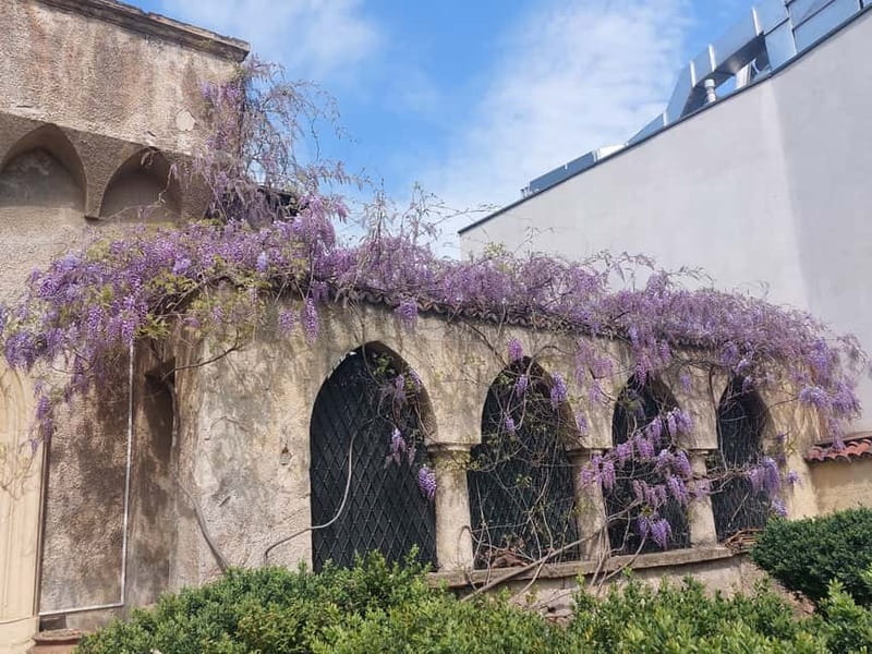Bucharest: Hidden Gems 2.5-Hour Walking Tour - Price and Value: Is $45 for 3 Hours a Good Deal?