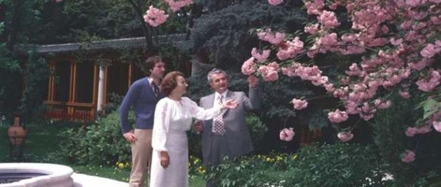 Bucharest: Private Last Days of Ceausescu Tour in a Dacia - House of Ceaușescu and Palace Primăverii: power in a private setting