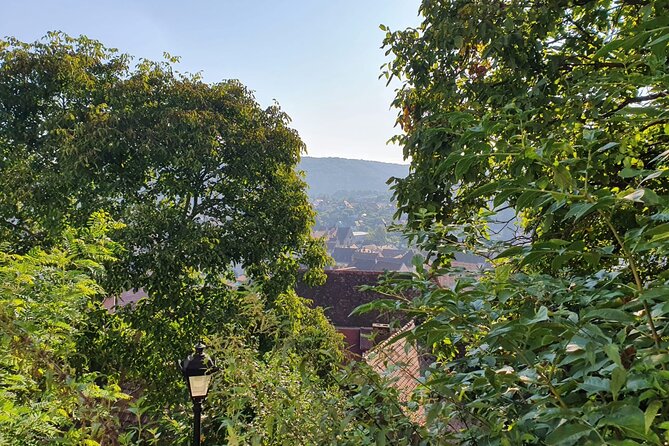 Bucharest Private Tour with Dracula's Grave and Ceaușescu Mansion - Key points to know before you go