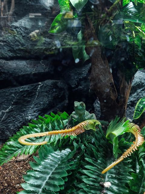 Bucharest: Reptiland Bucharest Entry Ticket - Key Highlights You Should Know Before You Go