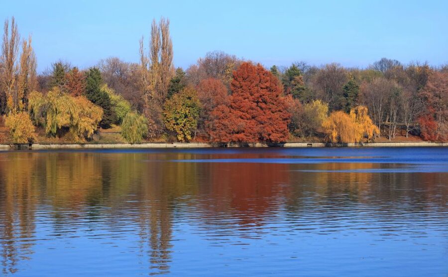 Bucharest Sightseeing Tour - The comfort factor: why the A/C mini-van matters here