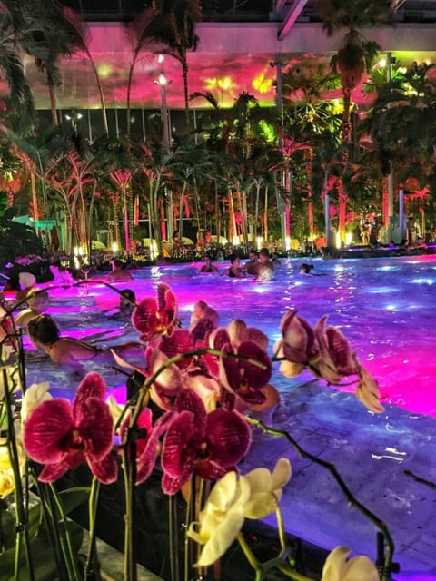 Bucharest: Therme Spa Night Experience with Transfer - Getting There Smoothly from Grand Hotel Bucharest