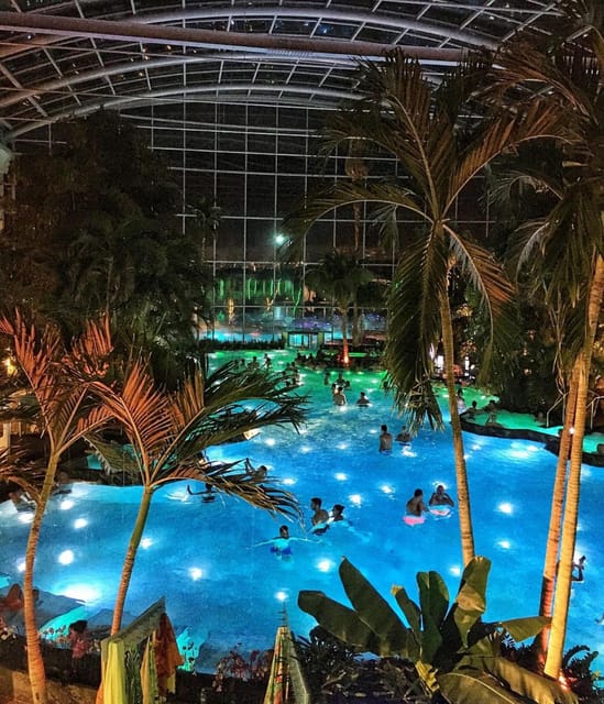 Bucharest: Therme Spa Night Experience with Transfer - The Indoor Palm Grove and Botanical Garden, Why Night Changes Everything