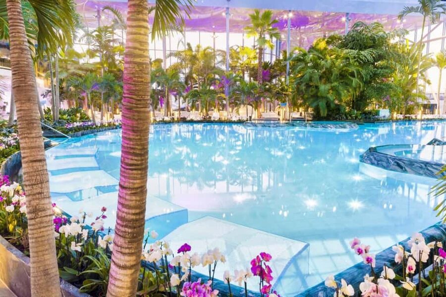 Bucuresti: Bucuresti Therme Transfer and Full-Day Access - Galaxy and The Palm: two moods, one day