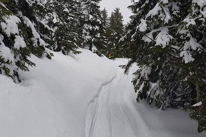 Carpathian mountains Snowmobile, ATV or Buggy tour in one day - Getting out of Bucharest: the 7:00am start and 8 to 10 hour flow