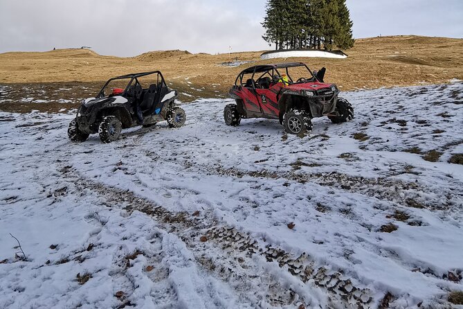 Carpathian mountains Snowmobile, ATV or Buggy tour in one day - Price and value: what $403.34 really buys you