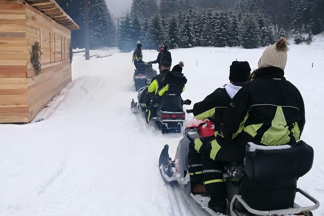 Carpathian mountains Snowmobile, ATV or Buggy tour in one day - Peles Castle stop: walk around for an hour, tickets are extra