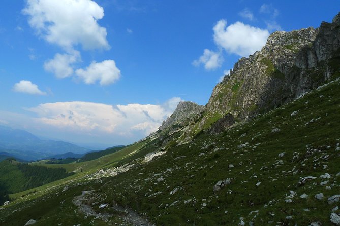 Carpathians in Romania: Bucegi Natural Park with native Spanish guide. - Poiana Gutanu: time in the open, time to breathe