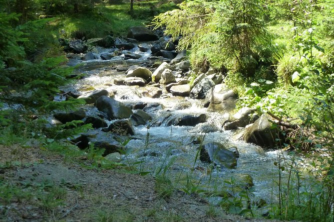 Carpathians in Romania: Bucegi Natural Park with native Spanish guide. - Varful Bucşa: the moment you remember later