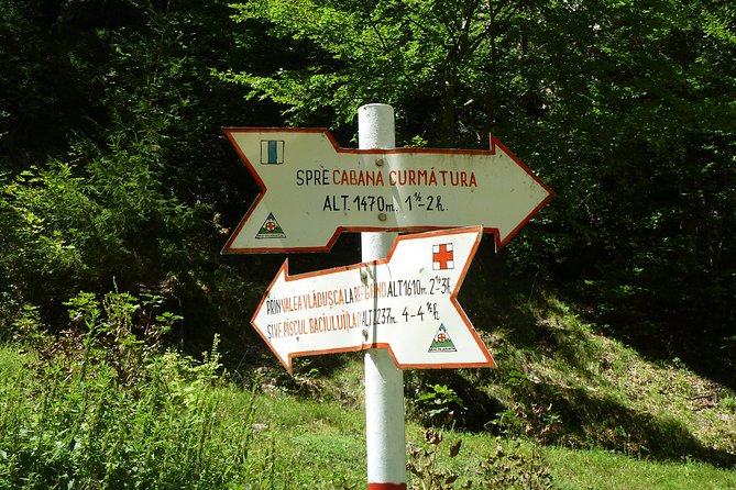 Carpathians in Romania: Piatra Craiului National Park with native Spanish guide. - Poiana Zanoaga back stretch, finishing strong with the loop in mind