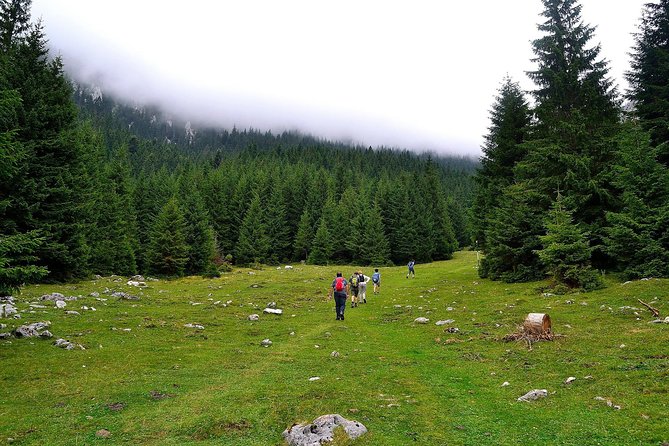 Carpathians in Romania: Piatra Craiului National Park with native Spanish guide. - The 15 km circular loop, ascent, and pacing reality