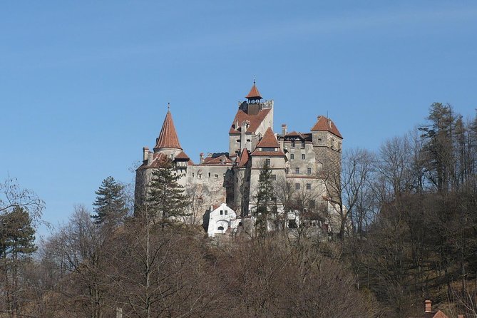 Castles Private Tour Peles - Bran - Rasnov from Brasov - Should You Book This Private Castles Tour from Brașov?