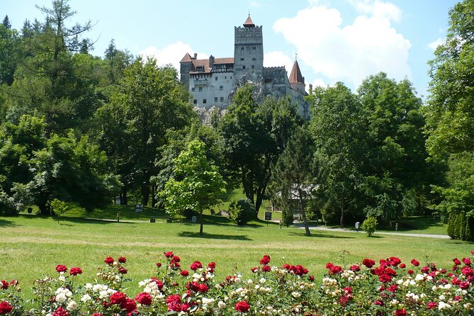 Castles Private Tour Peles - Bran - Rasnov from Brasov - Timing, Crowds, and How to Plan Your Castle Photos