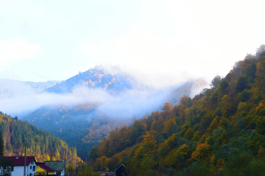 CJ03 - Day trip to Maramures Mocanita Train from Cluj Napoca - Timing and Logistics: A 10-Hour Day With Real Expectations