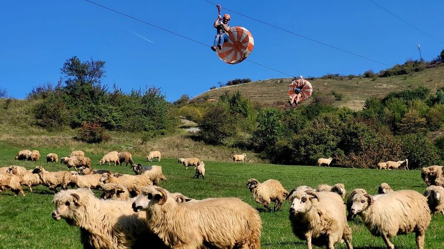 Cluj: Outdoor Activities Day Trip with Zip Line and Hike - How Much Is $115 Worth, And What You Actually Get