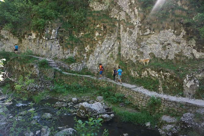Curly Tour - Day trip from Cluj :) - Price and value: what $107.68 buys you in real terms
