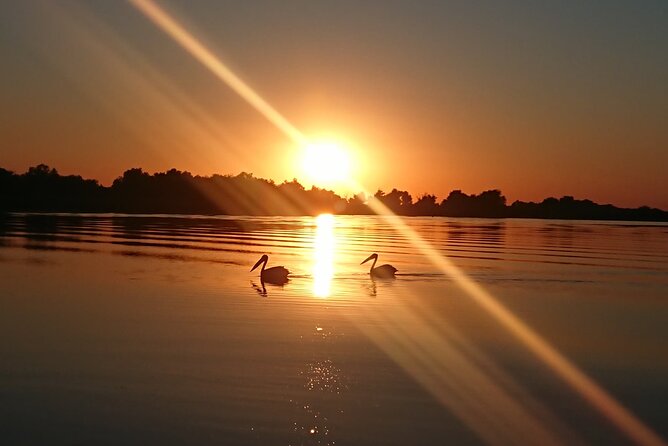Daily Tours in the Danube Delta - Camely Cruise - Timing and Crowd Effects: Why the Tour Length Can Shift