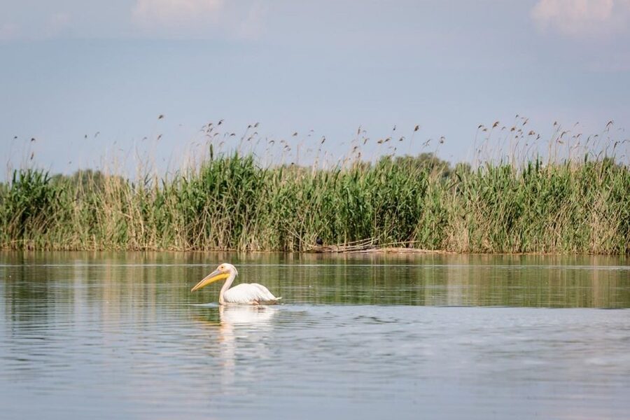 Danube Delta - 2-Day Tour from Bucharest - Should You Book the Danube Delta 2-Day Tour?