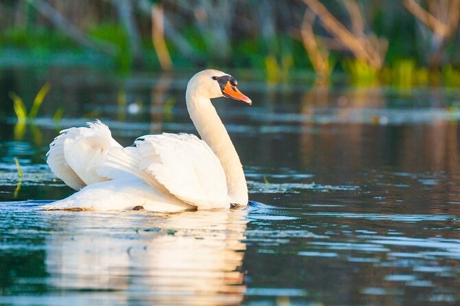 Danube Delta and Black See - 2 Days Private Tour from Bucharest - The guide and driver experience: Nicolas, Dan Nica, and Alin-style service