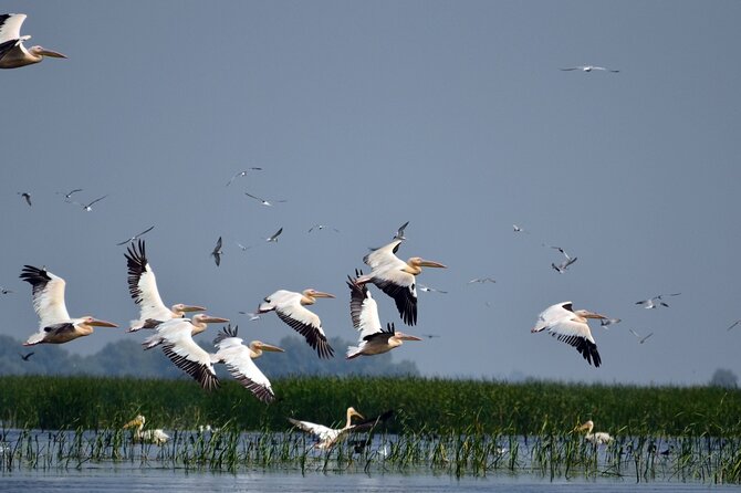 Danube Delta and Black See - 2 Days Private Tour from Bucharest - Price and value: what $1,239.07 per person really covers