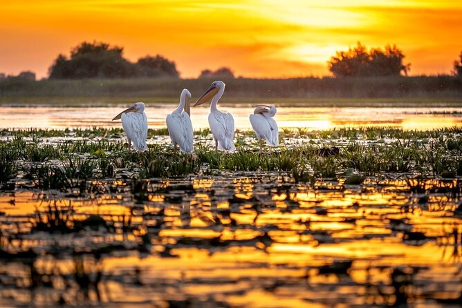 Danube Delta and Black See - 2 Days Private Tour from Bucharest - Who this 2-day private tour fits best