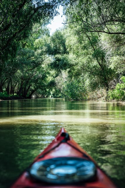 Danube Delta: Boat Tour Through the Water Lily Reserve - Wildlife spotting tips that actually help on this route