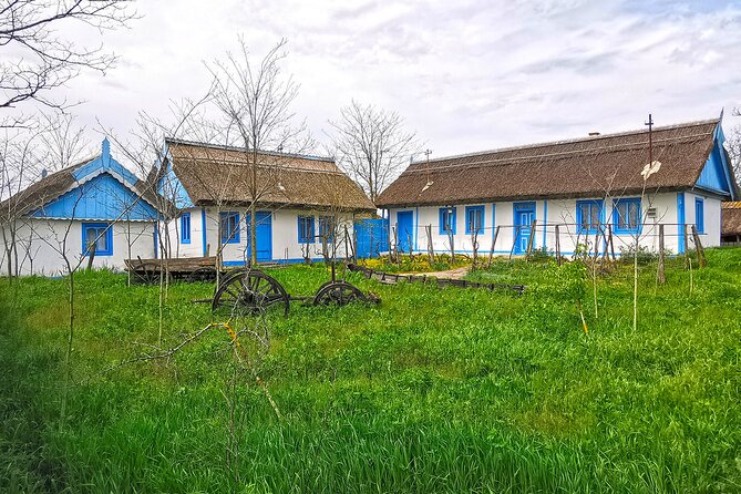 Danube Delta PRIVATE boat trip to Letea Forest (guided tour) - Letea Village: A Subtropical Stop That Feels Like Time Paused
