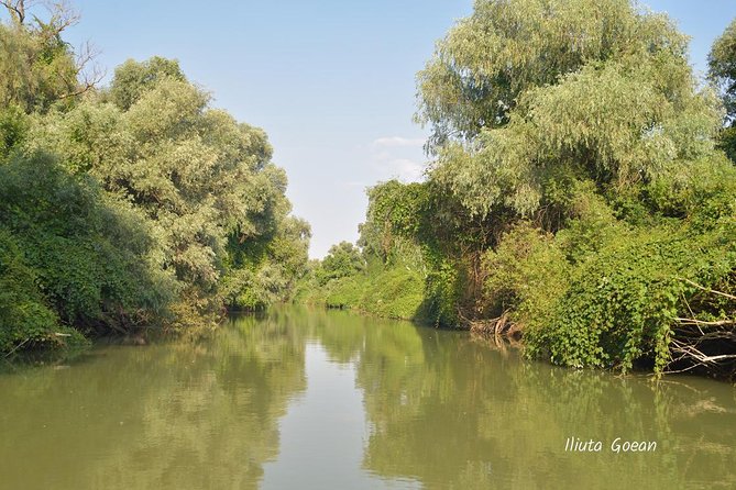 Danube Delta PRIVATE boat trip to Mila23 Village (guided tour) - Key Highlights You Should Know Before You Go