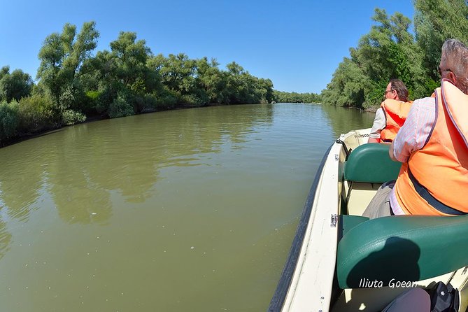 Danube Delta PRIVATE boat trip to Mila23 Village (guided tour) - Why the Uncovered Boat Matters for Seeing Birds