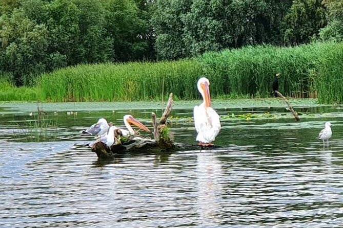 Danube Delta - Private Tour with Boat Trip & Traditional Lunch - What to do before you go, to avoid day-of headaches