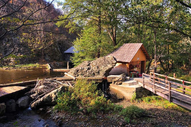 Danube Gorge & Banat Waterfalls - Pestera Veterani and Pestera Ponicova: Caves That Add Texture to the Gorge