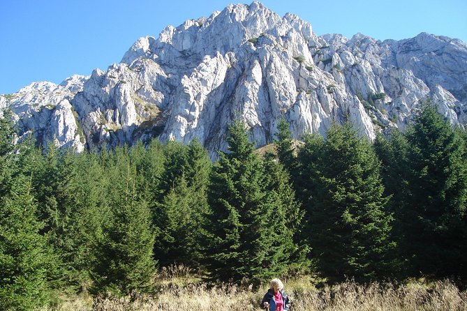Day Hike in Carpathian Mountains for all levels in five areas - Why Piatra Craiului Hikes Feel Worth It for Most Fitness Levels