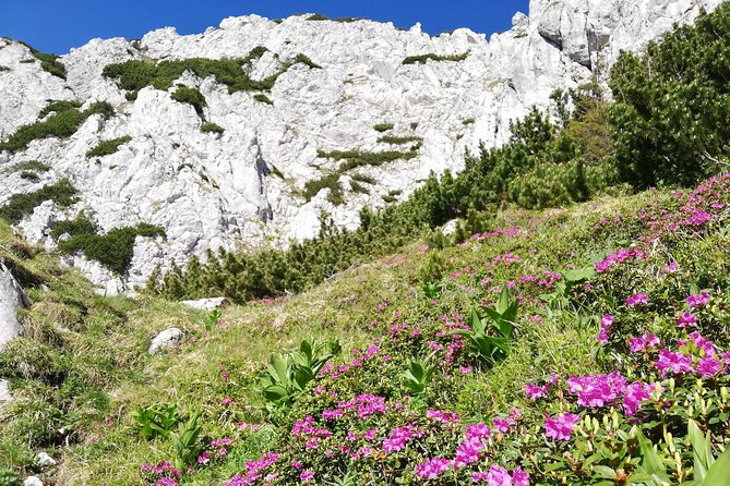 Day Hike PRIVATE - Piatra Craiului National Park - Why Piatra Craiului works so well for a private day hike