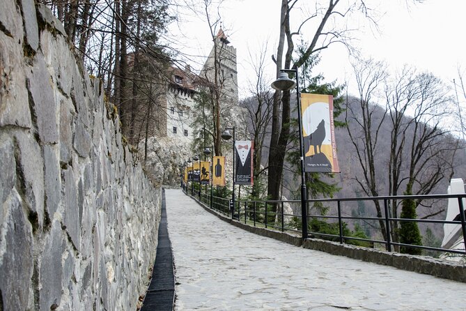 Day Trip Bear Sanctuary, Bran Castle, Rasnov Fortress from Brasov - Price and what you’re paying for (and what’s extra)