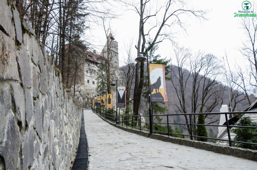 Day trip Bran Castle, Rasnov Fortress and Bear Sanctuary - A fast 6-hour loop from Brașov