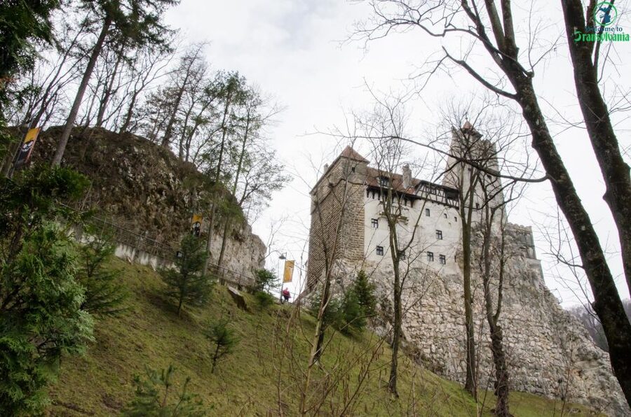 Day trip Bran Castle, Rasnov Fortress and Bear Sanctuary - Bran Castle: Dracula lore, plus the Vlad Draculea link