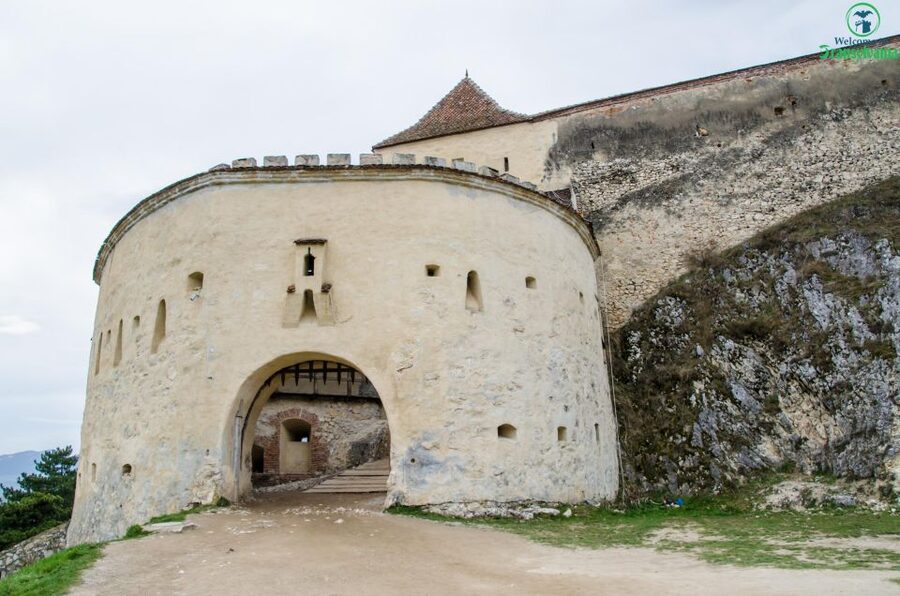 Day trip Bran Castle, Rasnov Fortress and Bear Sanctuary - Price and logistics: is $49 good value?