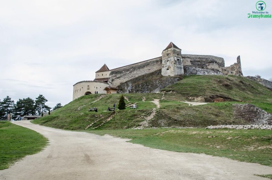 Day trip Bran Castle, Rasnov Fortress and Bear Sanctuary - Who should book, and who might skip it?