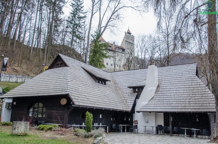Day trip Bran Castle, Rasnov Fortress and Bear Sanctuary - Should you book this Bran, Rasnov, and LiBEARty day trip?